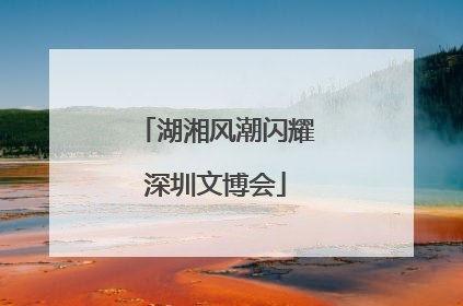 湖湘风潮闪耀深圳文博会